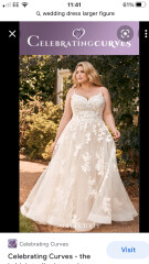 Should I buy this wedding dress..?