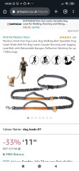 Collar for a lively Labrador puller