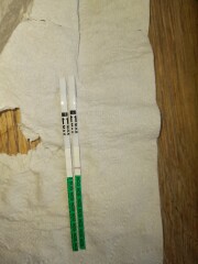 Poundland first view tests