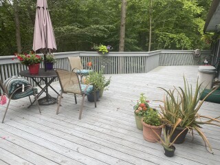 Come and tell me your dull and unexciting news 23: Calmly through the day 