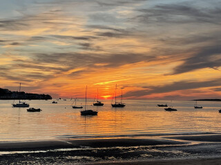 ☀️LOSE IT! July 2022☀️
