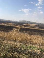 Awful fire in Greater London