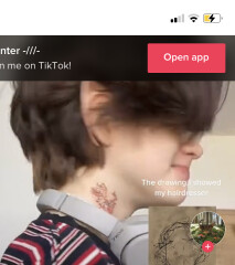 Daughter has hair down to knees! Now wants it cut short