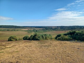 Come chat hiking with me!