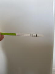 How long do you hold for OPKs?