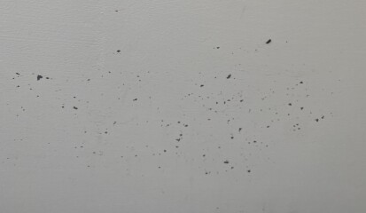 Help! Landlords cheap paint is rubbing on to family 