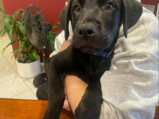need ad title for these cuties
