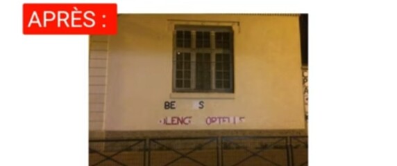 France: trans activists tear down memorial art dedicated to murdered children.