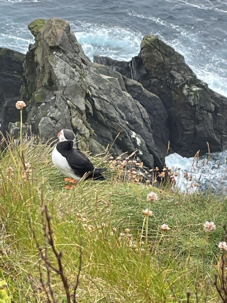 Shetland starts on Wednesday!!