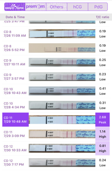 First timers, TTC. Safe space for brain dumps...