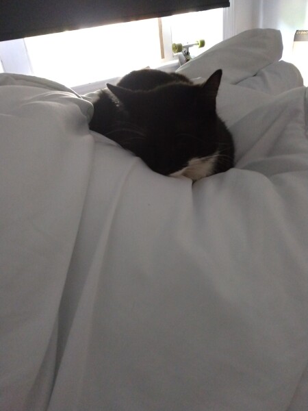 Heated throw-help please 