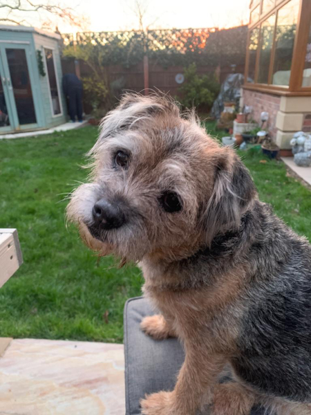 I can’t get over losing my dog, the grief is overwhelming 