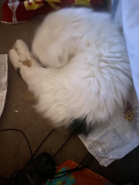 Of all the places to sleep…