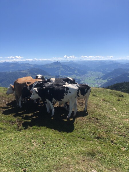 Come chat hiking with me!