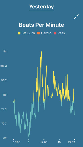 Fitbit users