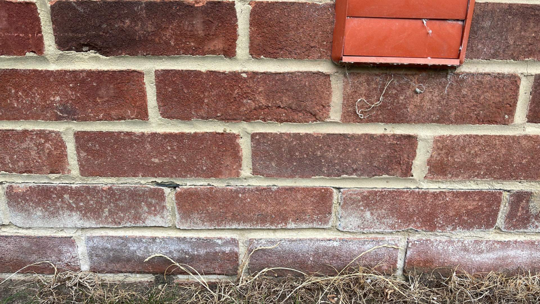 Is this subsidence? Photos included. Please help