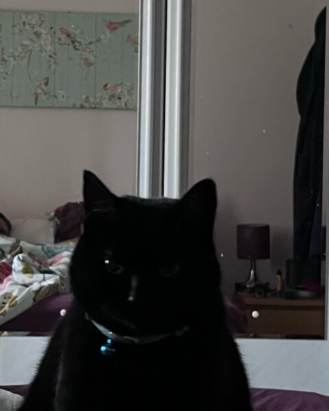 Thread 36 - Covid Cohort from GCSE 2020 - The Final Countdown to Results Day for Some?