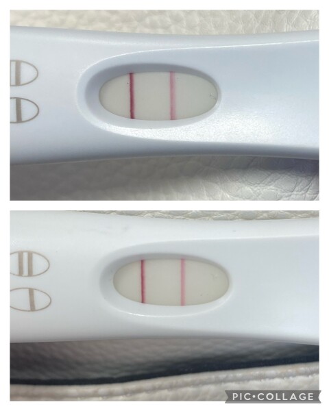 Pregnancy test maybe fainted? 
