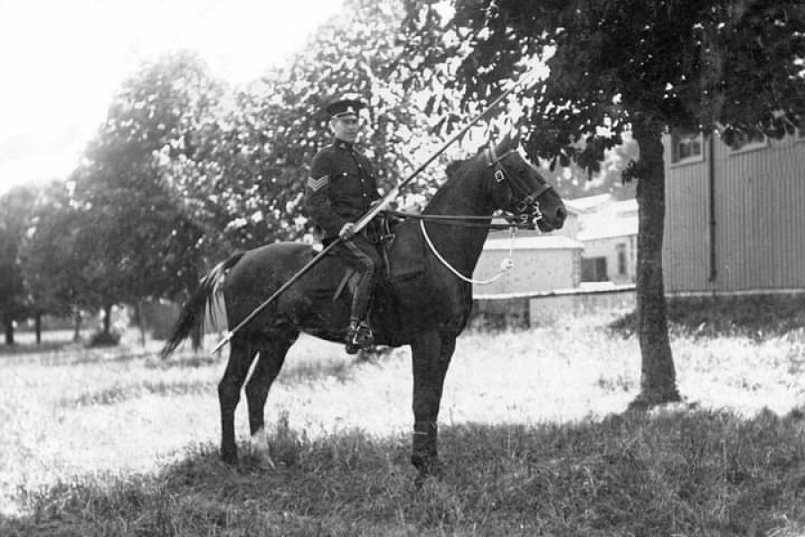 Horses in the Army