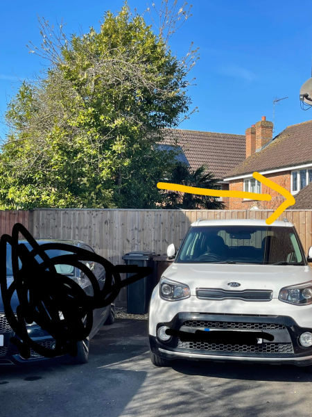 Is this subsidence? Photos included. Please help