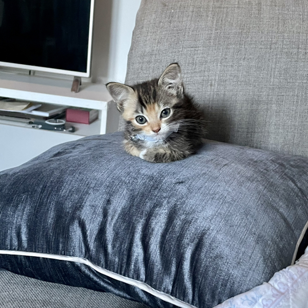 Can you help me think of a B name?