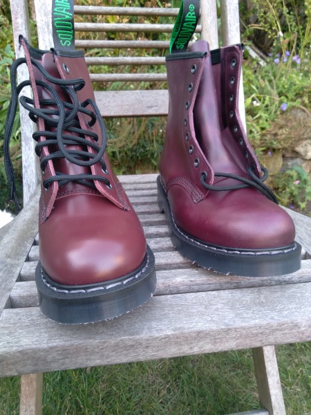 This is the year I finally buy good boots !! Help please.