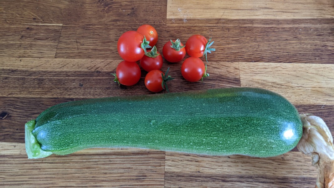 The Vegetable Patch