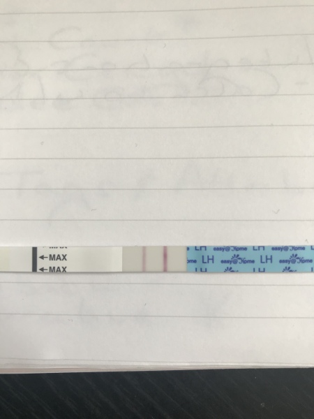 OPK Line eyes