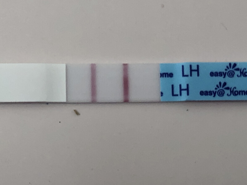 Hoping for BFP August/September