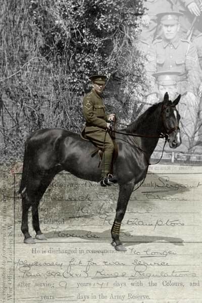 Horses in the Army