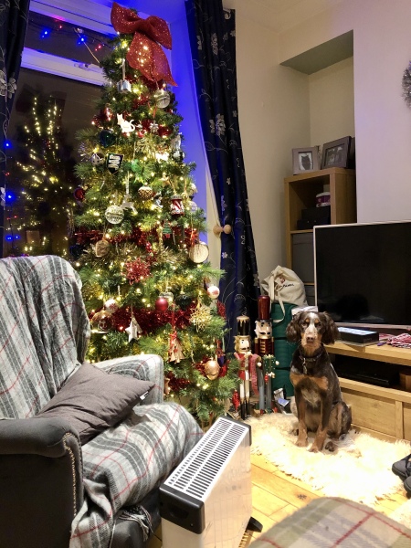 Recommend me a great artificial Christmas tree