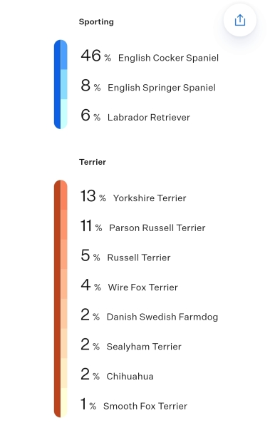 Guess my breeds?