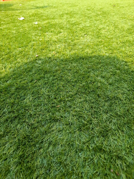 Does astroturf put you off?