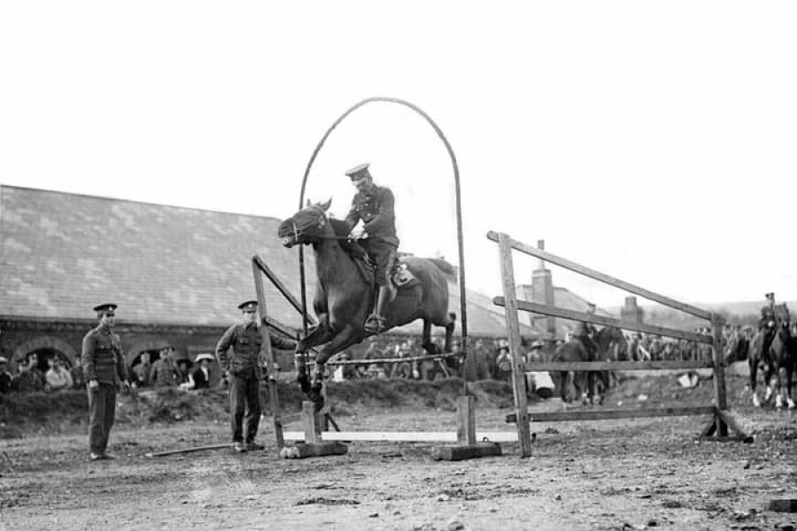 Horses in the Army