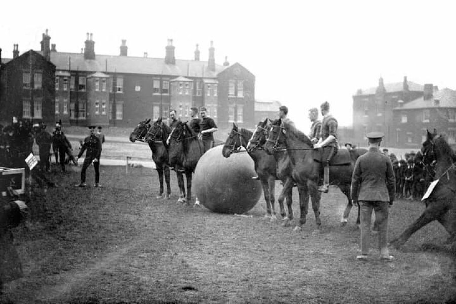 Horses in the Army