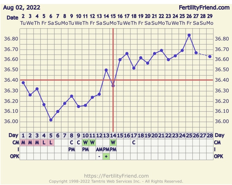 BBT Chart, first month