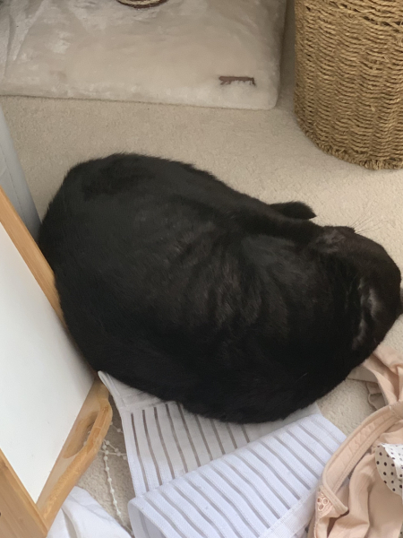 Of all the places to sleep…