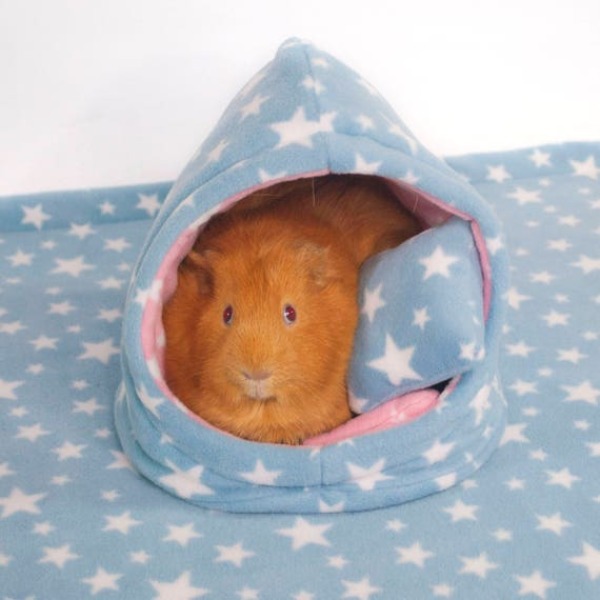 Guinea pigs for beginners