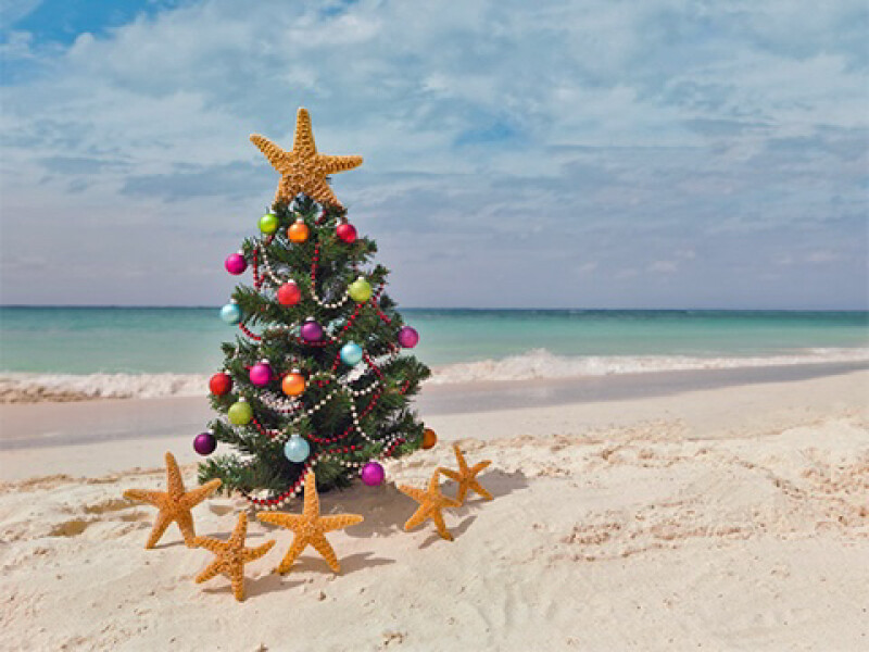 Countdown to Christmas 2022: spring has sprung, bring on the longer days! Thread 2.