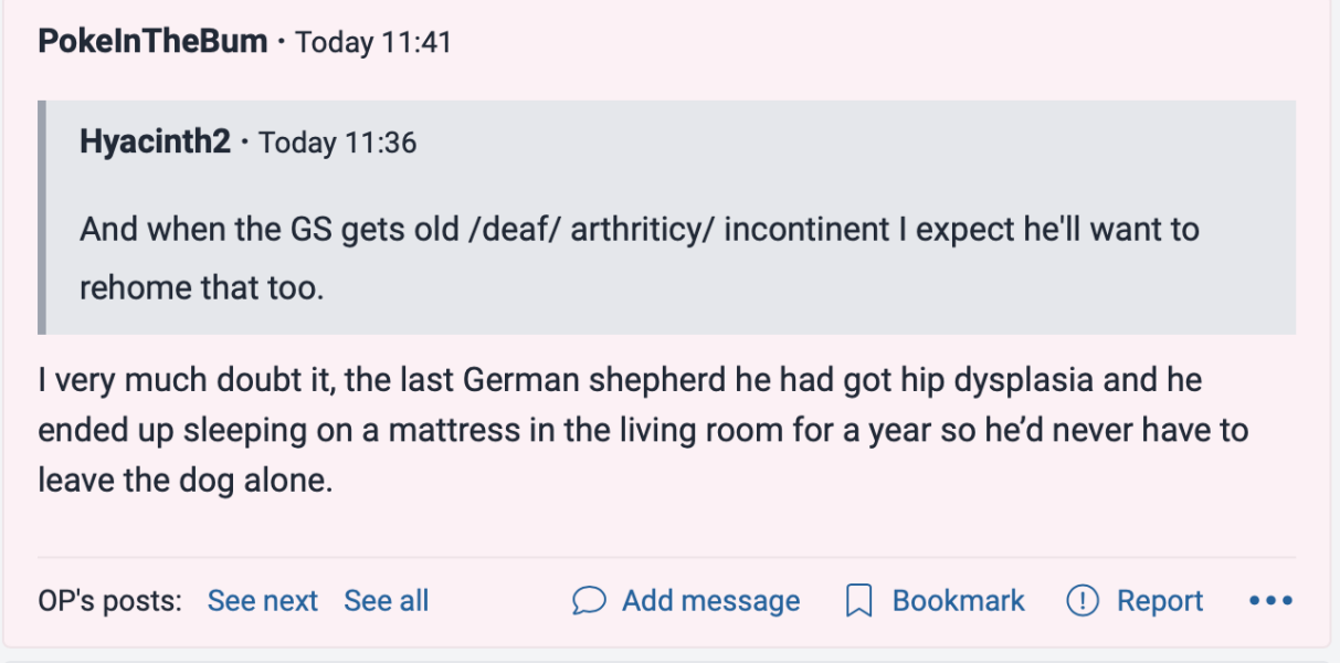 DH has no time for our dog