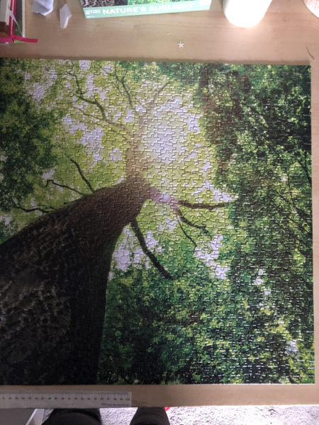 Anyone fancy a new jigsaw thread?