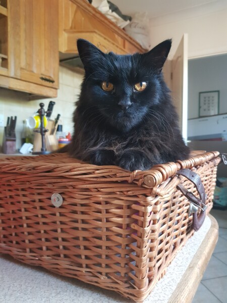 To a life well spent – RIP Cap'n V