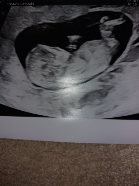 What's my bubba 2. Nub guesses