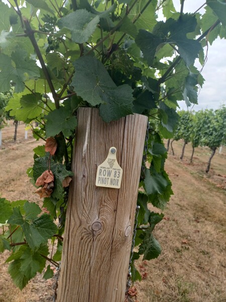 Come chat hiking with me!