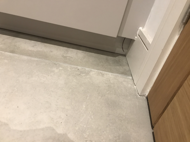 Mouse in the kitchen.  Any ideas?