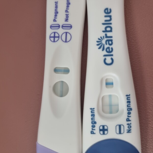 Pregnant or Not Pregnant