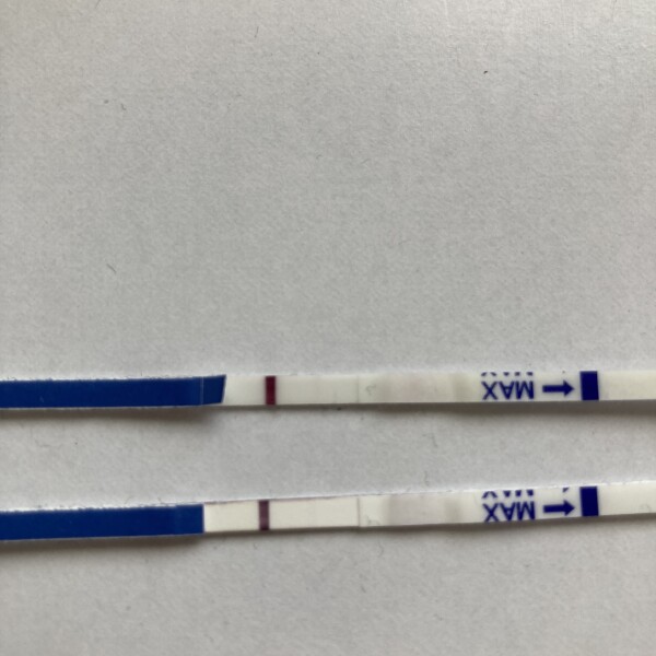 IVF/FET May June 2