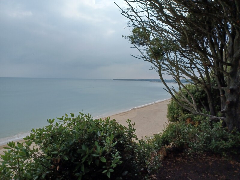 Come chat hiking with me!