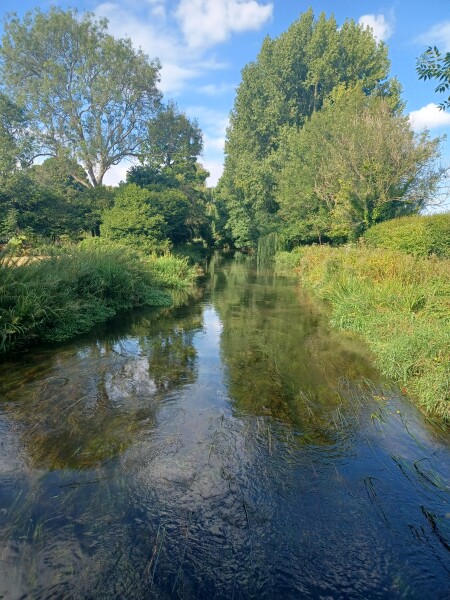 Come chat hiking with me!