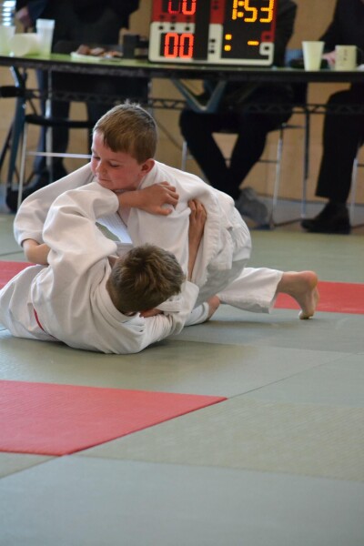 Looking for an activity for you or your children